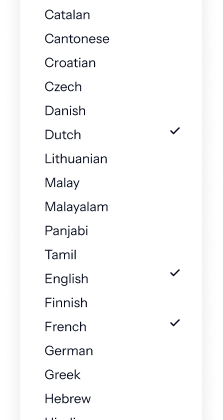 Language selection menu 
