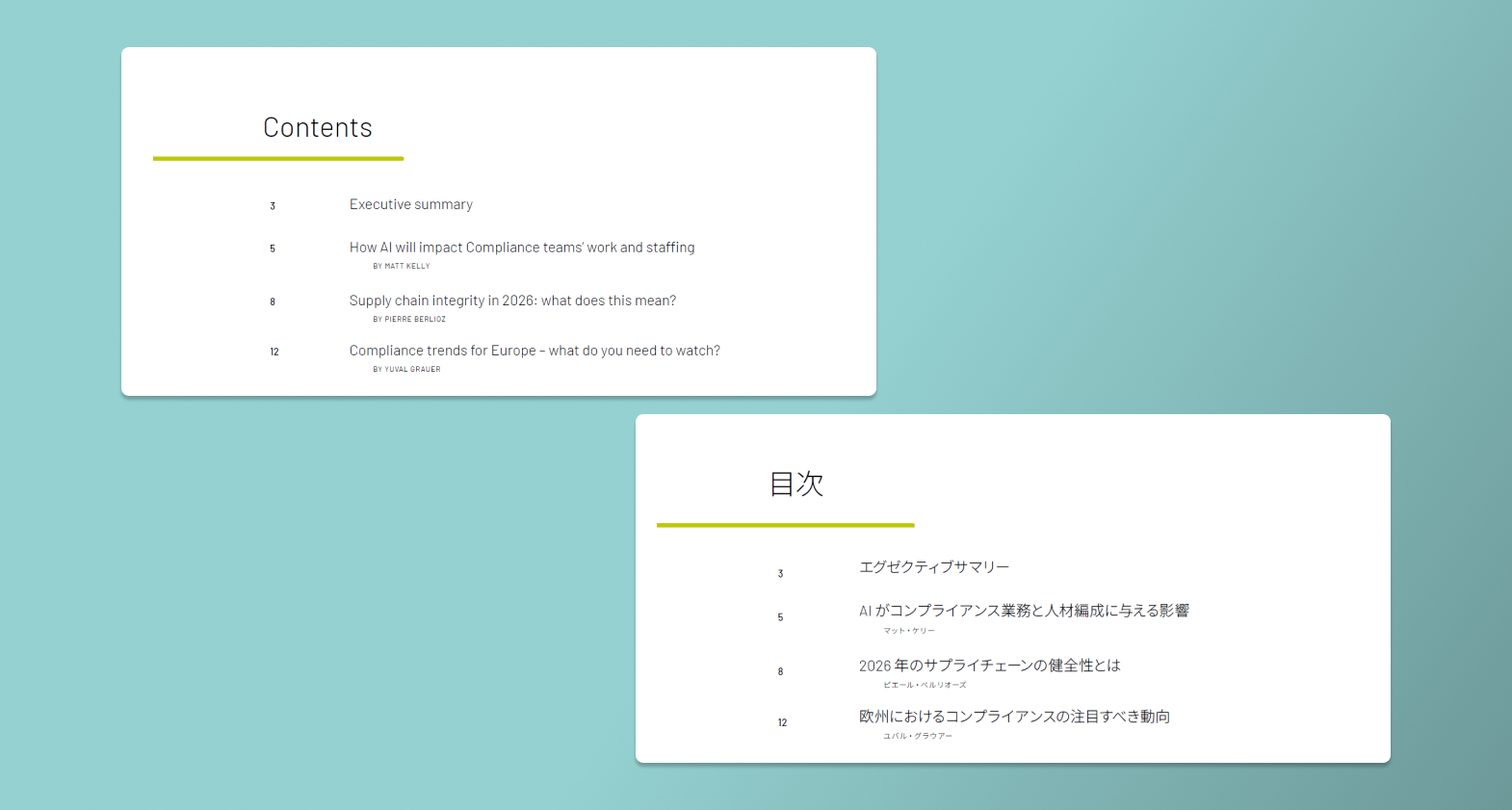 NAVEX Indesign Localisation Process